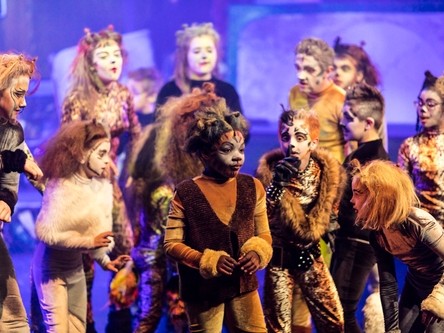 little, Little Stars age 4-7